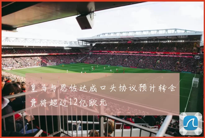 皇马与恩佐达成口头协议预计转会费将超过12亿欧元